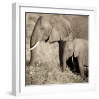 The Ultimate Bonding-Susann Parker-Framed Photographic Print