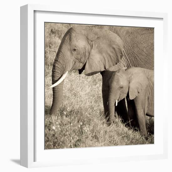 The Ultimate Bonding-Susann Parker-Framed Photographic Print