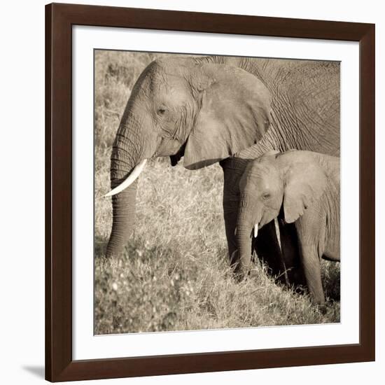 The Ultimate Bonding-Susann Parker-Framed Photographic Print