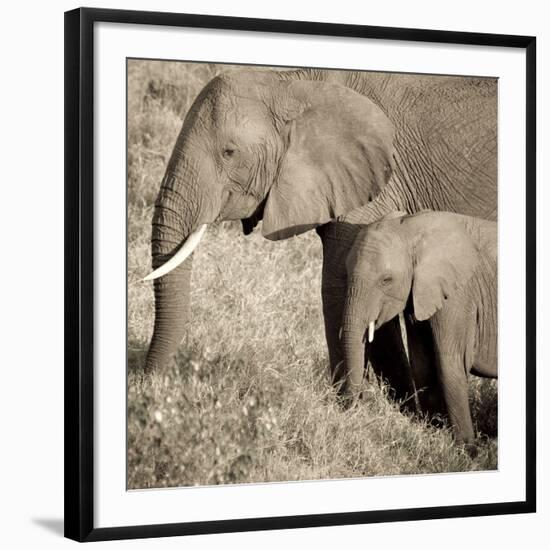 The Ultimate Bonding-Susann Parker-Framed Photographic Print