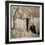 The Ultimate Bonding-Susann Parker-Framed Photographic Print