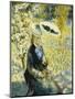 The Umbrella; L'Ombrelle, 1878-Pierre-Auguste Renoir-Mounted Giclee Print
