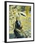 The Umbrella; L'Ombrelle, 1878-Pierre-Auguste Renoir-Framed Giclee Print