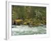 The Umpqua River, Oregon, USA-William Sutton-Framed Photographic Print