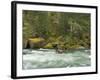 The Umpqua River, Oregon, USA-William Sutton-Framed Photographic Print