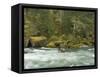 The Umpqua River, Oregon, USA-William Sutton-Framed Stretched Canvas