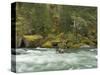 The Umpqua River, Oregon, USA-William Sutton-Stretched Canvas