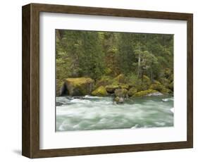 The Umpqua River, Oregon, USA-William Sutton-Framed Photographic Print