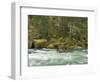 The Umpqua River, Oregon, USA-William Sutton-Framed Photographic Print