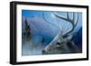 The Unbroken-Gordon Semmens-Framed Giclee Print