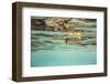 The underwater scenery all around the Mediterranean island of Formentera,-Nadja Jacke-Framed Photographic Print