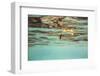 The underwater scenery all around the Mediterranean island of Formentera,-Nadja Jacke-Framed Photographic Print