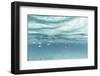 The underwater scenery all around the Mediterranean island of Formentera,-Nadja Jacke-Framed Photographic Print