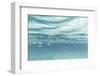 The underwater scenery all around the Mediterranean island of Formentera,-Nadja Jacke-Framed Photographic Print