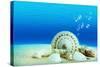 The Underwater World,Seashells with Underwater Background.-Liang Zhang-Stretched Canvas
