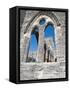 The Unfinished Church in St. George'S, Bermuda, Central America-Michael DeFreitas-Framed Stretched Canvas