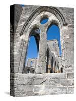 The Unfinished Church in St. George'S, Bermuda, Central America-Michael DeFreitas-Stretched Canvas
