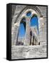 The Unfinished Church in St. George'S, Bermuda, Central America-Michael DeFreitas-Framed Stretched Canvas