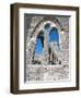 The Unfinished Church in St. George'S, Bermuda, Central America-Michael DeFreitas-Framed Photographic Print