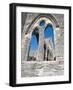 The Unfinished Church in St. George'S, Bermuda, Central America-Michael DeFreitas-Framed Photographic Print