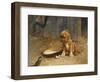 The Uninvited Guest-Karl Kristian Uchermann-Framed Premium Giclee Print