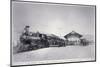 The Union Pacific Railroad Depot at La Grande, Oregon, c.1870-null-Mounted Photographic Print