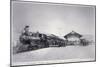 The Union Pacific Railroad Depot at La Grande, Oregon, c.1870-null-Mounted Premium Photographic Print