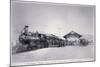 The Union Pacific Railroad Depot at La Grande, Oregon, c.1870-null-Mounted Photographic Print