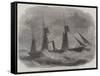 The Union Steam-Ship Company's Cape Mail Steamer Briton-Edwin Weedon-Framed Stretched Canvas