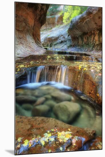 The Unique and Mysterious Subway at Zion-Vincent James-Mounted Premium Photographic Print