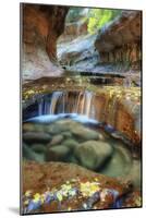 The Unique and Mysterious Subway at Zion-Vincent James-Mounted Photographic Print