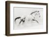 The unique brush stroke-Martine Benezech-Framed Photographic Print