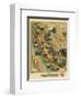 The Unique Map of California, c.1885-E^ M^ Johnstone-Framed Art Print