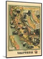 The Unique Map of California, c.1885-E^ M^ Johnstone-Mounted Art Print