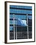 The United Nations Building, Manhattan, New York City, New York, USA-Amanda Hall-Framed Photographic Print