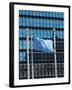 The United Nations Building, Manhattan, New York City, New York, USA-Amanda Hall-Framed Photographic Print