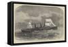 The United States' New Mail Steam-Ship Adriatic-Edwin Weedon-Framed Stretched Canvas