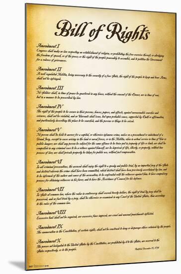 The United States of America - Bill of Rights-Trends International-Mounted Poster