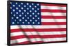 The United States Of America - Flag-Trends International-Framed Poster