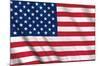 The United States Of America - Flag-Trends International-Mounted Poster