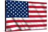 The United States Of America - Flag-Trends International-Stretched Canvas