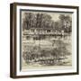 The Universities Boat-Race-null-Framed Giclee Print