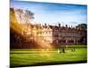 The University of Oxford - Architecture & Building - Oxford - UK - England - United Kingdom-Philippe Hugonnard-Mounted Photographic Print