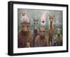 The Untamed-James W. Johnson-Framed Giclee Print