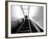 The Up Escalator-Sharon Wish-Framed Photographic Print