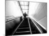 The Up Escalator-Sharon Wish-Mounted Photographic Print