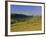 The Upper Dove Valley, Pilsbury, Hartington, Peak District National Park, Derbyshire, England, UK-Pearl Bucknell-Framed Photographic Print