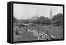 Framed Canvas