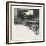 The Upper Lakes, Lake Helen, Canada, Nineteenth Century-null-Framed Giclee Print