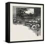 The Upper Lakes, Lake Helen, Canada, Nineteenth Century-null-Framed Stretched Canvas